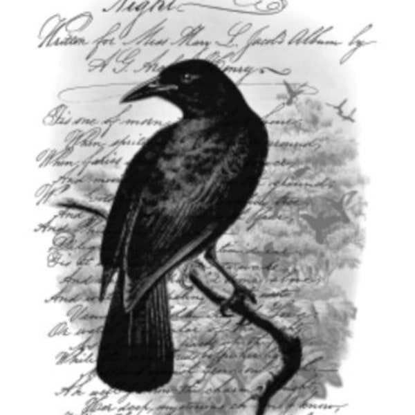 Vintage Image French Bird Raven Crow Night Poem Furniture Transfers Waterslide Decals BIR855