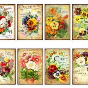 8 Vintage Grunge Victorian Vintage Pansy Seed Catálogo Colagem ATC ACEO / Vintage Pansy Digital Collage Sheet Tag Images - Coisas efêmeras para impressão