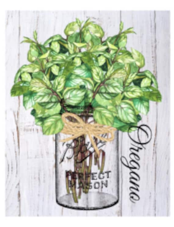XL VinTaGe IMaGe FRuiT RePro KiTcheN ShaBby WaTerSLiDe DeCALs *FuRNiTuRe SiZe*
