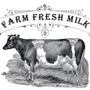 Vintage Image Farm Fresh Milk Cow Dairy Furniture Labels Transfers Waterslide Decals MIS665