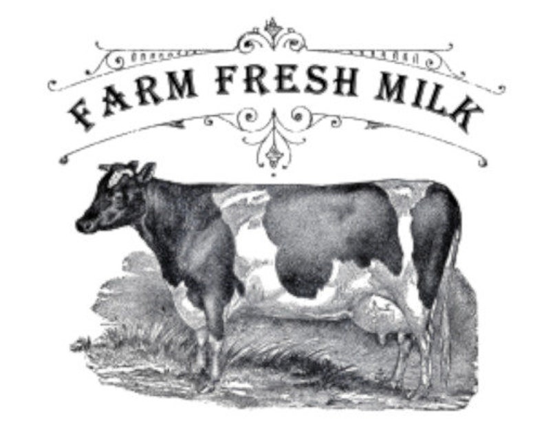 Vintage Image Farm Fresh Milk Cow Dairy Furniture Labels Etsy
