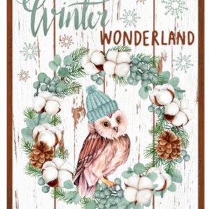 May include: A white wooden sign with the text "Winter Wonderland" in brown lettering. A wreath of cotton bolls, green leaves, and pine cones surrounds a brown and white owl wearing a blue hat.