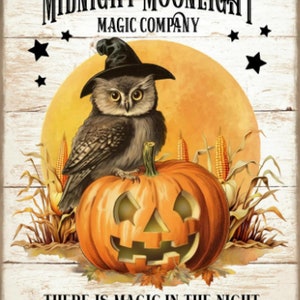 Puede incluir: Un cartel de Halloween de estilo vintage con un búho con un sombrero de bruja posado sobre una calabaza tallada. El cartel dice "The Midnight Moonlight Magic Company" y "There is magic in the night when pumpkins glow by moonlight."