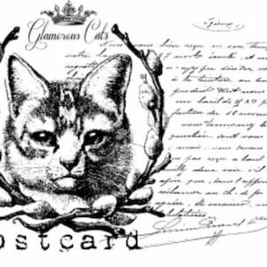 Vintage Image Français Cat Post Card Meubles Transferts Toboggan Aquatique Décalcomanies MIS636