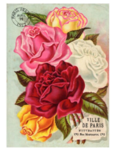 Vintage Image Shabby Victorian Seed Packet Roses Labels