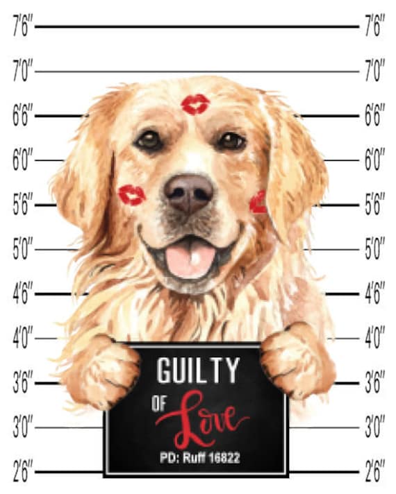 What Is The 7 In 1 Shot For Dogs