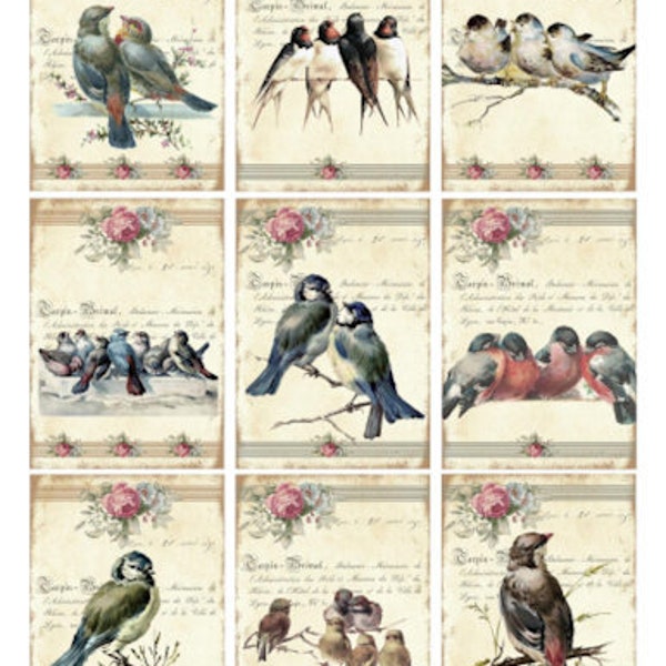 Vintage Image Shabby Pink Roses Bird Labels Furniture Transfer Waterslide Decals BIR854