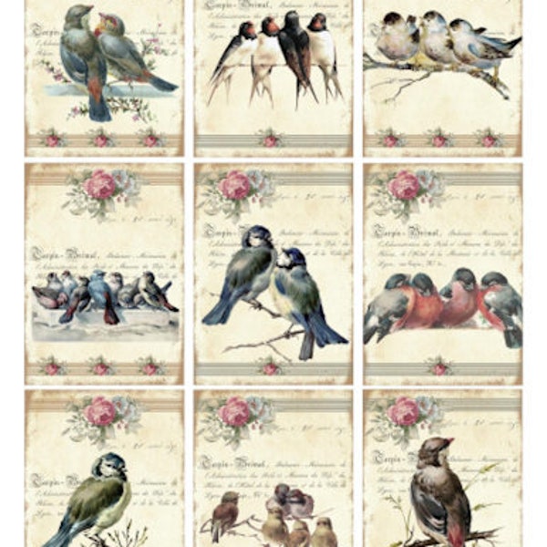 Vintage Image Shabby Pink Roses Bird Labels Furniture Transfer Waterslide Decals BIR854