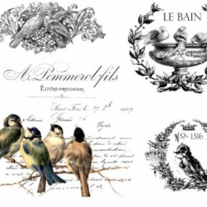 Vintage Image French Birds Labels Furniture Transfers Waterslide Decals MIS637