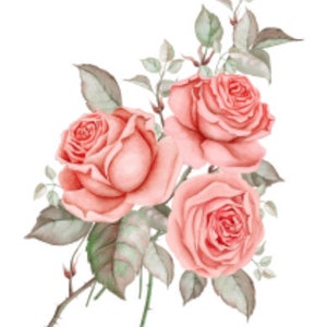 Handpainted Shabby Pink Roses Furniture Transfers Decoupage Waterslide Decals FL542