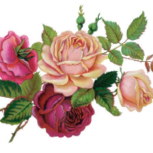 Shabby Roses Victorian Waterslide Decals Shabby Roses Victorian Waterslide Decals