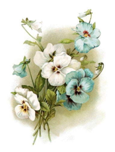 Vintage Image Shabby Antique Blue and White Pansies Transfers Watersl…