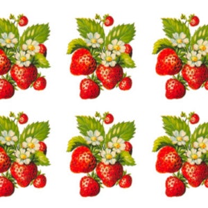 May include: Six illustrations of red strawberries with green leaves and white flowers. The strawberries are arranged in a cluster with some smaller strawberries on the sides.