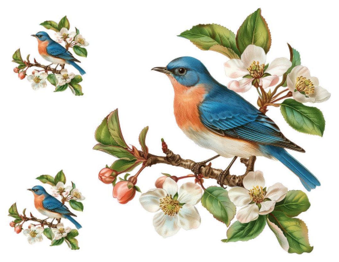 Vintage Image Bluebird on Floral Branch, Birds Furniture Transfers