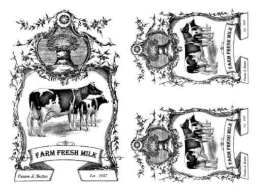 MILK フィルム柄 il_fullxfull.2932626074_8sp5.jpg