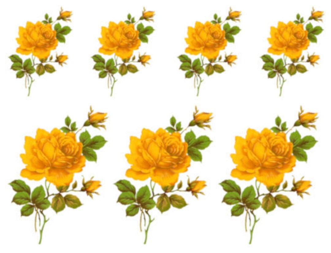 Vintage Image Victorian Yellow Stem Rose With Bud Shabby