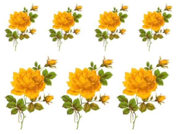 Vintage Image Victorian Yellow Stem Rose With Bud Shabby Transfers