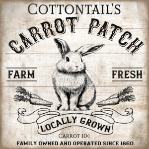 May include: Black and white illustration of a rabbit with a carrot in its mouth. The text "COTTONTAIL'S CARROT PATCH FARM FRESH LOCALLY GROWN CARROT 10c FAMILY OWNED AND OPERATED SINCE 1860" is printed on a white wood background.