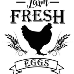 Vintage Image Chicken Farm Eggs Furniture Label Transfer Waterslide Decal MIS698