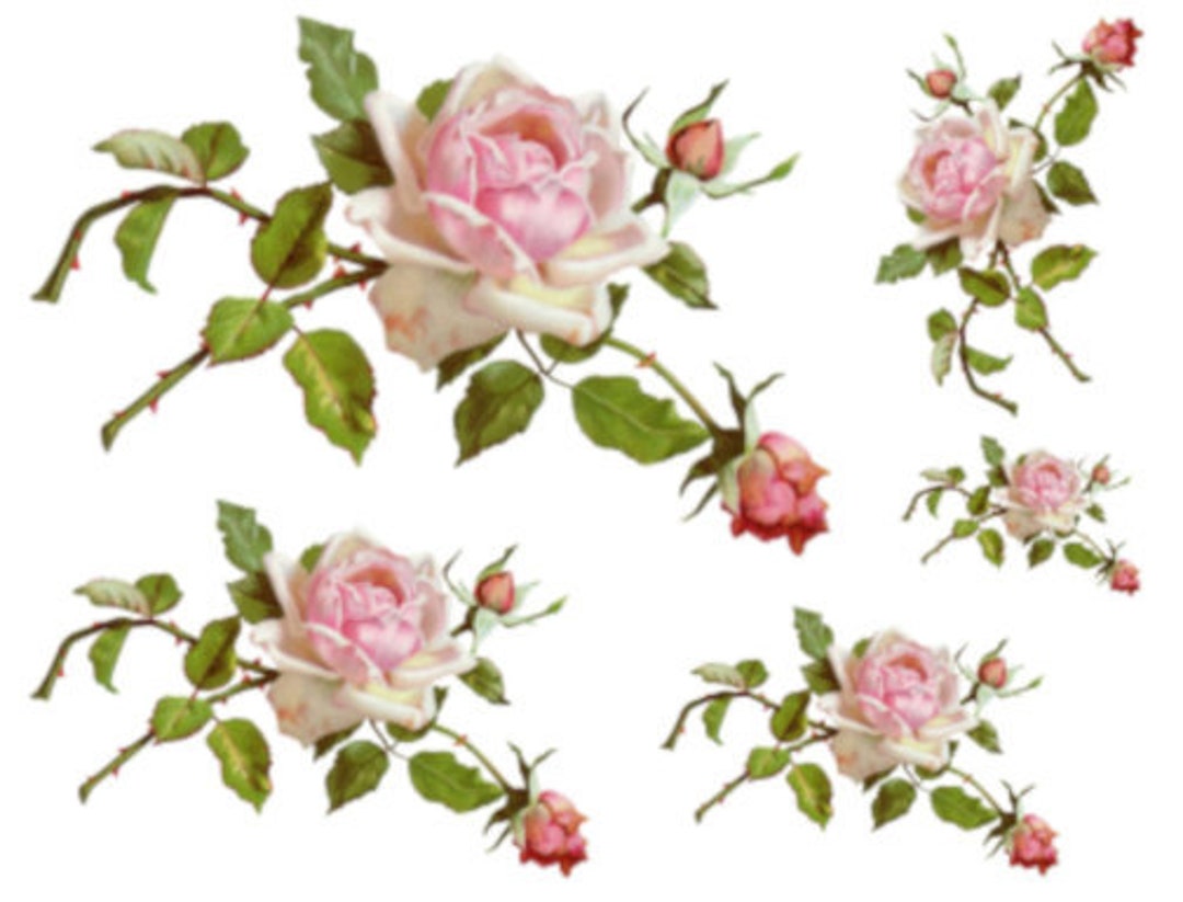 Vintage Image Victorian Long Stem Pink Roses and Buds Furniture