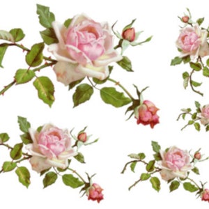 Vintage Image Victorian Long Stem Pink Roses and Buds Furniture Transfers Waterslide Decals~ FL459