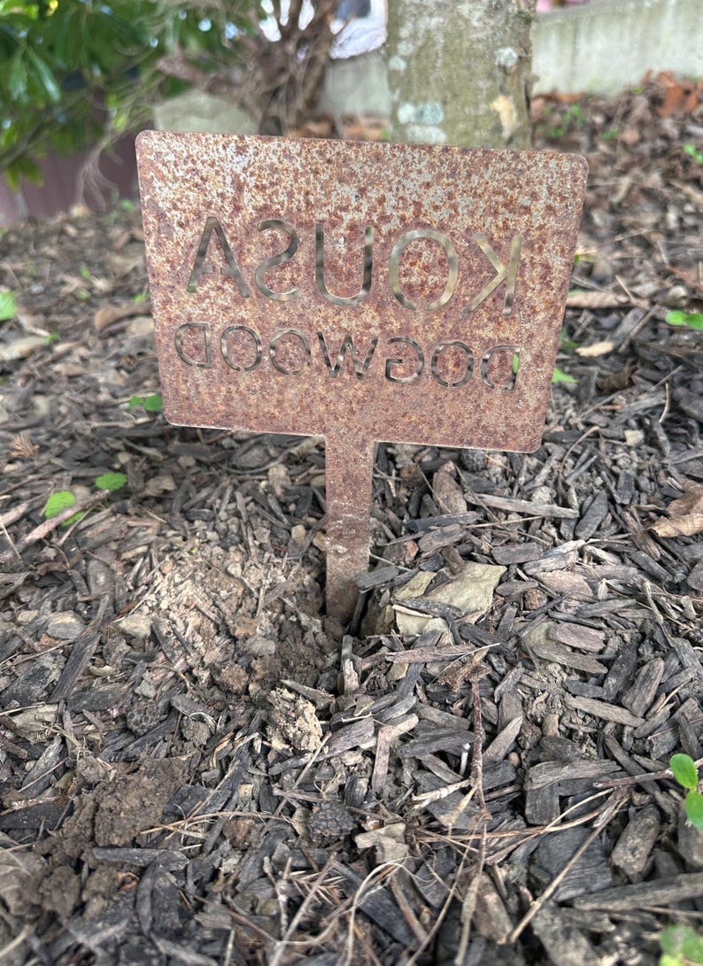Plant marker in raw metal rusted backside of sign