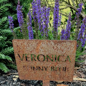 Metal Plant Marker Garden Stake Memorial Tree Grave Sign Pet Tribute Landscape Outdoor Custom Name Personalized Label Identification Tag image 5