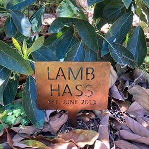 Custom Name Metal Plant Marker Garden Stake Tree Identification Tag Outdoor Landscape Label Personalized Garden Organization Plant Marker Memorial Tree Stake Durable Metal Garden Label Copper Finish Outdoor Weatherproof Yard Landscape