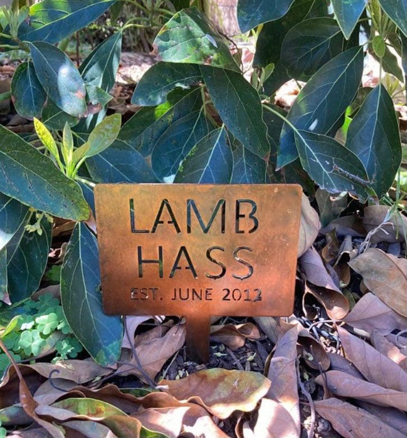 Custom Name Metal Plant Marker Garden Stake Tree Identification Tag Outdoor Landscape Label Personalized Garden Organization Plant Marker Memorial Tree Stake Durable Metal Garden Label Copper Finish Outdoor Weatherproof Yard Landscape