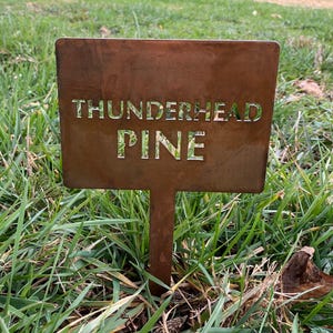 Memorial Tree Marker Metal Plant Stake Garden Identification Label Custom Name Personalized Garden Marker Outdoor Landscape Plant Label Tree Memorial Tribute Metal Stake Durable Rust Finish Garden Organization Outdoor Weatherproof Metal