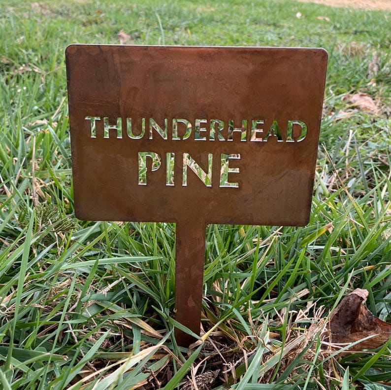 Memorial Tree Marker Metal Plant Stake Garden Identification Label Custom Name Personalized Garden Marker Outdoor Landscape Plant Label Tree Memorial Tribute Metal Stake Durable Rust Finish Garden Organization Outdoor Weatherproof Metal