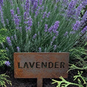 Metal Plant Marker Garden Stake Memorial Tree Grave Sign Pet Tribute Landscape Outdoor Custom Name Personalized Label Identification Tag image 2