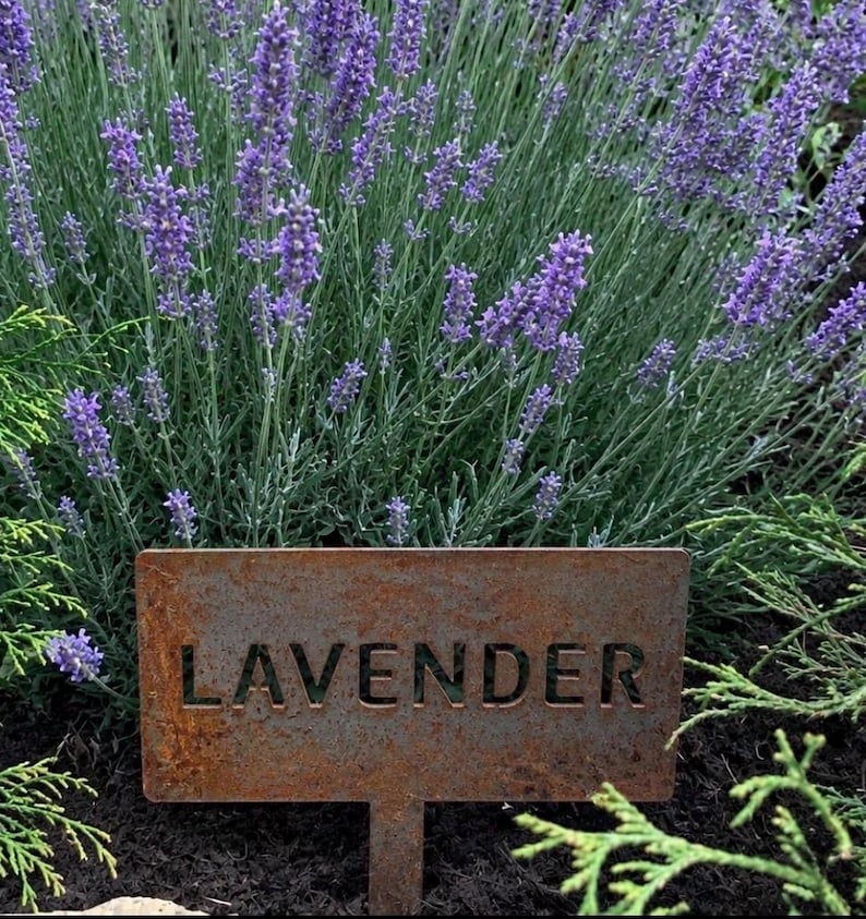 Metal Plant Marker Garden Stake Memorial Tree Grave Sign Pet Tribute Landscape Outdoor Custom Name Personalized Label Identification Tag image 2