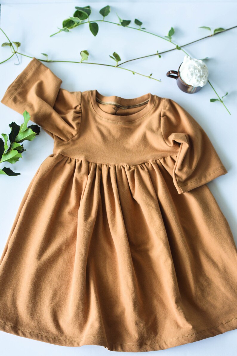 May include: A brown long-sleeved dress with a gathered skirt and a round neckline.