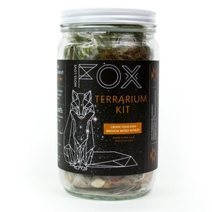 Terrarium Kit // Fox // DIY Moss Terrarium