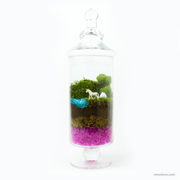 SALE Terrarium // Unicorn // 60% OFF SALE!!