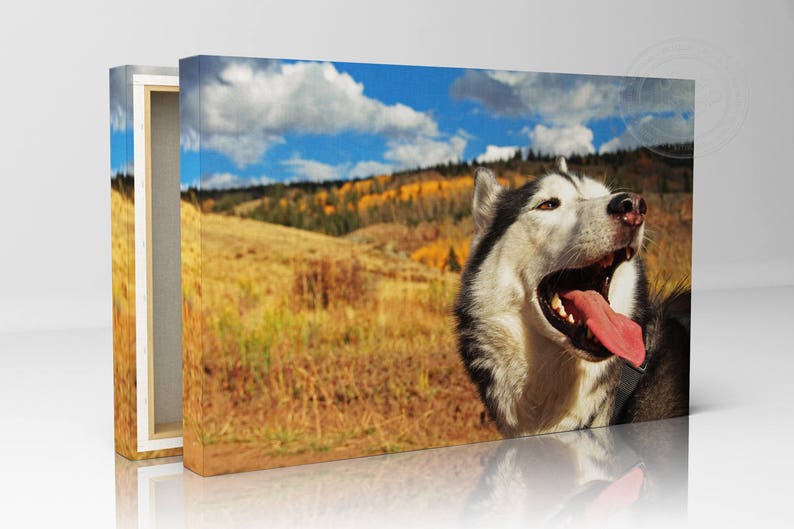 Wood Frame Canvas Print Stretched Canvas Print Any Size Etsy
