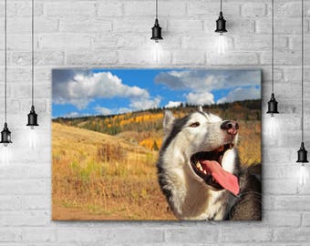 Gift for dog owner, canvas print gift, your own photo canvas, framed canvas print gift, custom made canvas print, print for dog owner
