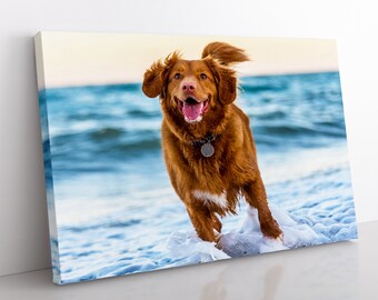 May include: A canvas print featuring a happy, brown dog running on a beach. The dog has a collar and is in motion, with its tongue out. The background shows blue ocean waves and a light sky, creating a vibrant, outdoor scene.