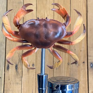 May include: A crab-shaped tap handle with a brown body and orange and yellow claws. The tap handle is mounted on a chrome fixture, with a wooden background.