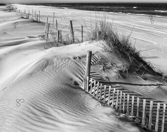 Download Decorations cotieres plage For Free