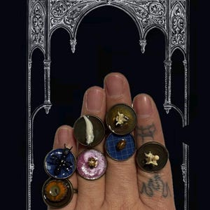 May include: A collection of unique rings with various encased objects. The rings feature a variety of designs, including a tooth, insect, and bone fragments, set in resin. The rings have a dark, gothic aesthetic.