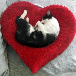 Pet bed HEART 3D with removable cover, very soft & comfortable Minky plush durable cat bed or small dog bed image 1