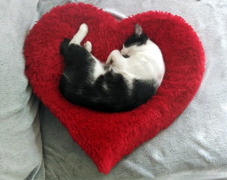 Pet bed HEART 3D with removable cover, very soft & comfortable Minky plush durable cat bed or small dog bed image 1