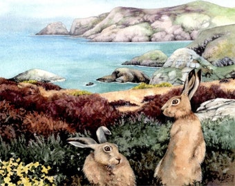 Hares in Gorse painting | Pwll Deri Pembrokeshire Wales | Welsh coast watercolour by Helen Lush | Original watercolor landscape  | 9" x 9"