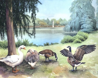 Lago Roath Park / Impresión de archivo / Acuarela de gansos y sauces / Escena de Cardiff / 18 x 25 cm / Por Helen Lush