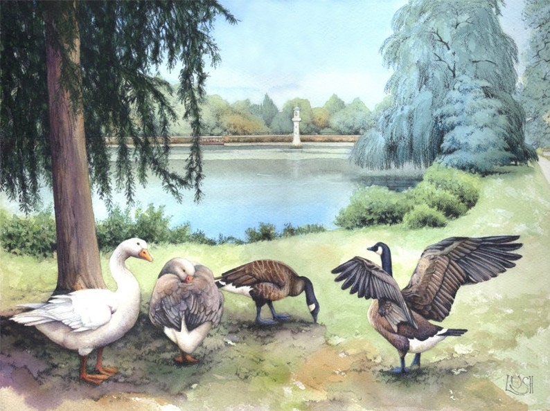 Roath Park Lake Archival print Watercolour painting of Geese Welsh watercolor Cardiff scene Geese, water, willows By Helen Lush image 1