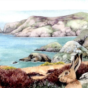 Hares in Gorse painting Pwll Deri Pembrokeshire Wales Welsh coast watercolour by Helen Lush Original watercolor landscape 9 x 9 image 2