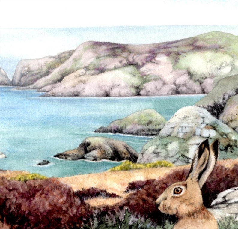 Hares in Gorse painting Pwll Deri Pembrokeshire Wales Welsh coast watercolour by Helen Lush Original watercolor landscape 9 x 9 image 2
