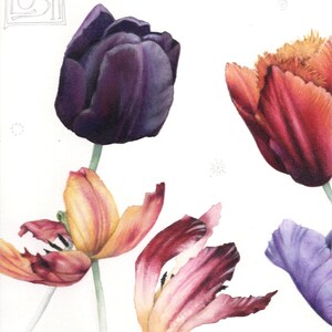 May include: Watercolor illustration of several tulips in various stages of bloom. The flowers display a range of colors, including deep purple, red, orange, yellow, and pink. The word "LUSH" is written in the upper left corner.